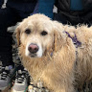 Meet your Posher, Maia9000